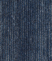 Ковровая плитка Shared Path на акустической основе Echo Acoustic 569 фото 1 | FLOORDEALER